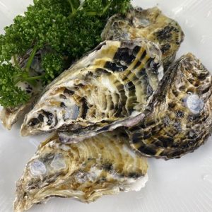 日本兵庫生食生蠔(1Kg約9-11顆)